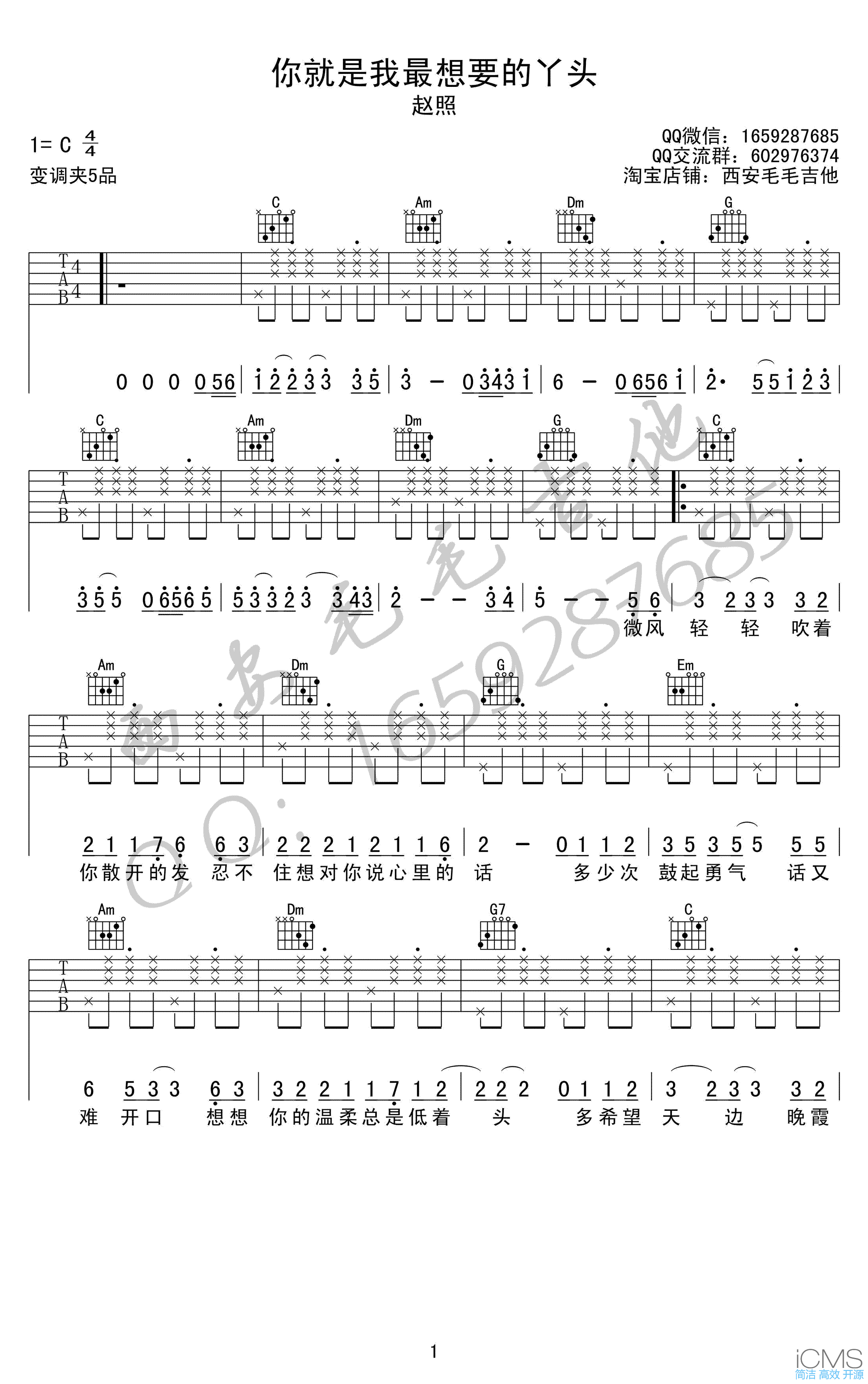 你就是我最想要的丫头吉他谱,简单C调原版指弹曲谱,赵照高清六线乐谱
