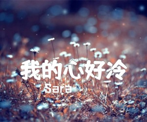 我的心好冷吉他谱,原版歌曲,简单高清版弹唱教学,六线谱指弹简谱2张图