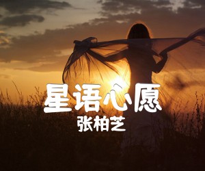 星语心愿吉他谱,原版歌曲,简单弹唱教学,六线谱指弹简谱2张图