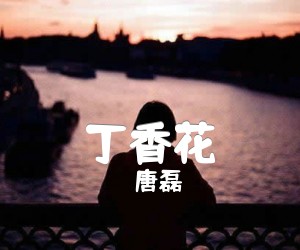 丁香花吉他谱,原版歌曲,简单原版编弹唱教学,六线谱指弹简谱3张图