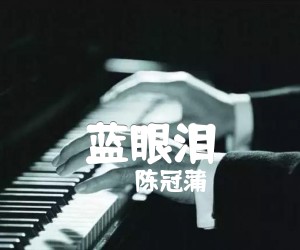 蓝眼泪吉他谱,原版歌曲,简单扫弦谱弹唱教学,六线谱指弹简谱3张图