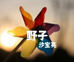 野子吉他谱,原版歌曲,简单男声版弹唱教学,六线谱指弹简谱4张图