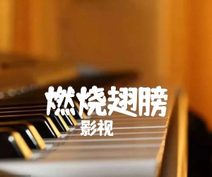 燃烧翅膀吉他谱,原版歌曲,简单G调弹唱教学,六线谱指弹简谱4张图