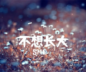 不想长大吉他谱,原版歌曲,简单G调弹唱教学,六线谱指弹简谱1张图