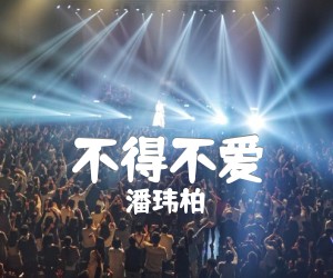 不得不爱吉他谱,原版歌曲,简单G调弹唱教学,六线谱指弹简谱4张图