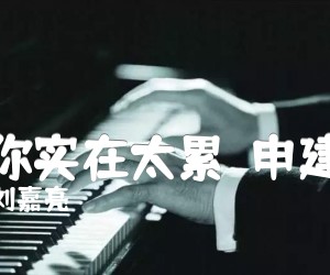 爱你实在太累（申建版）吉他谱,原版歌曲,简单D调弹唱教学,六线谱指弹简谱3张图