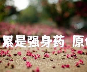 苦是催化剂累是强身药（原创歌曲之七)吉他谱,原版歌曲,简单A调弹唱教学,六线谱指弹简谱1张图