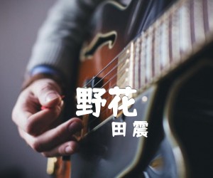 野花吉他谱,原版歌曲,简单A调弹唱教学,六线谱指弹简谱1张图