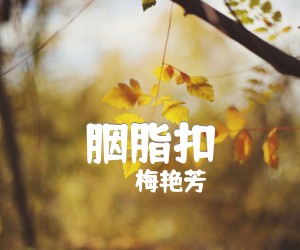 胭脂扣吉他谱,原版歌曲,简单G调弹唱教学,六线谱指弹简谱1张图