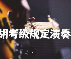 综合练习(中国二胡考级规定演奏曲五级)二胡曲谱吉他谱,原版歌曲,简单D调弹唱教学,六线谱指弹简谱1张图