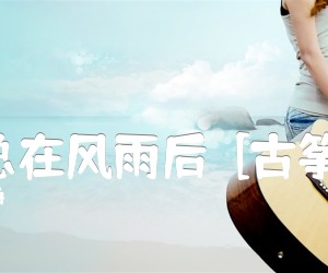 阳光总在风雨后[古筝曲谱]吉他谱,原版歌曲,简单D调弹唱教学,六线谱指弹简谱1张图