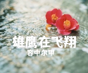 雄鹰在飞翔吉他谱,原版歌曲,简单A调弹唱教学,六线谱指弹简谱1张图