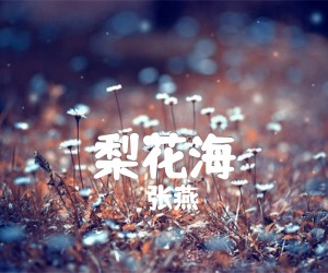 梨花海吉他谱,原版歌曲,简单B调弹唱教学,六线谱指弹简谱1张图