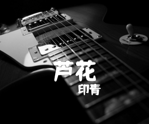 芦花吉他谱,原版歌曲,简单A调弹唱教学,六线谱指弹简谱1张图