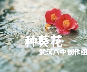 种葵花吉他谱,原版歌曲,简单E调弹唱教学,六线谱指弹简谱1张图