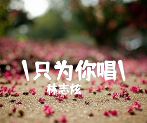 \只为你唱\吉他谱,原版歌曲,简单G调弹唱教学,六线谱指弹简谱1张图