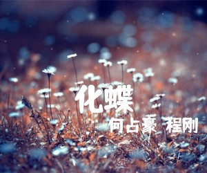 化蝶吉他谱,原版歌曲,简单C调弹唱教学,六线谱指弹简谱1张图