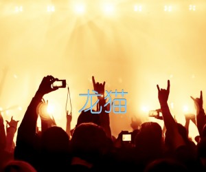 龙猫吉他谱,原版歌曲,简单C调弹唱教学,六线谱指弹简谱1张图