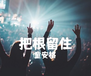 把根留住吉他谱,原版歌曲,简单G调弹唱教学,六线谱指弹简谱1张图