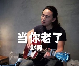 当你老了吉他谱,原版歌曲,简单D调弹唱教学,六线谱指弹简谱2张图