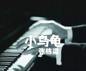 小乌龟吉他谱,原版歌曲,简单C调弹唱教学,六线谱指弹简谱3张图