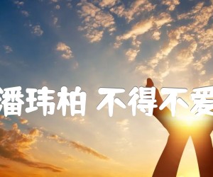 潘玮柏不得不爱吉他谱,原版歌曲,简单G调弹唱教学,六线谱指弹简谱5张图