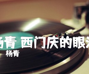 杨青西门庆的眼泪吉他谱,原版歌曲,简单D调弹唱教学,六线谱指弹简谱2张图