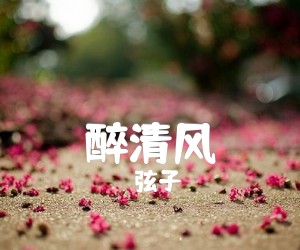 弦子醉清风吉他谱,原版歌曲,简单C调弹唱教学,六线谱指弹简谱2张图