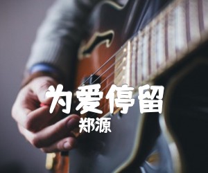 为爱停留吉他谱,原版歌曲,简单B调弹唱教学,六线谱指弹简谱4张图