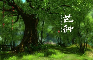 芒种吉他谱,原版赵方婧歌曲,简单G调指弹曲谱,高清六线乐谱