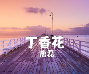 丁香花吉他谱,原版歌曲,简单G调弹唱教学,六线谱指弹简谱2张图