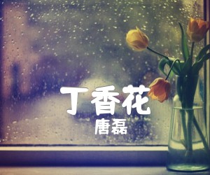 丁香花吉他谱,原版歌曲,简单G调弹唱教学,六线谱指弹简谱3张图