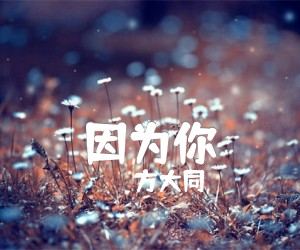 因为你吉他谱,原版歌曲,简单G调弹唱教学,六线谱指弹简谱3张图