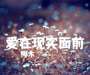 爱在现实面前吉他谱,原版歌曲,简单T调弹唱教学,六线谱指弹简谱1张图