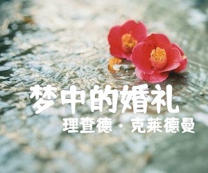 梦中的婚礼吉他谱,原版歌曲,简单G调弹唱教学,六线谱指弹简谱1张图