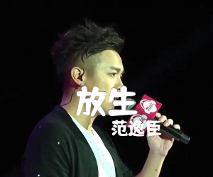 放生吉他谱,原版歌曲,简单G调弹唱教学,六线谱指弹简谱1张图