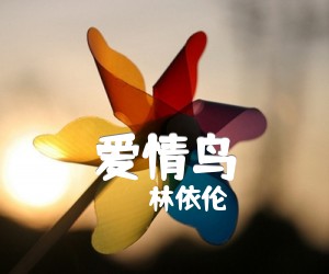 爱情鸟吉他谱,原版歌曲,简单G调弹唱教学,六线谱指弹简谱1张图