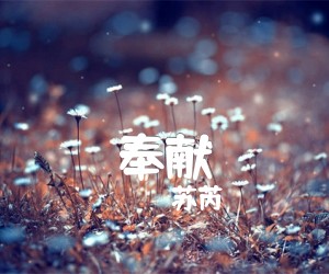 奉献吉他谱,原版歌曲,简单D调弹唱教学,六线谱指弹简谱1张图