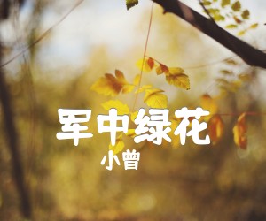 军中绿花吉他谱,原版歌曲,简单B调弹唱教学,六线谱指弹简谱4张图