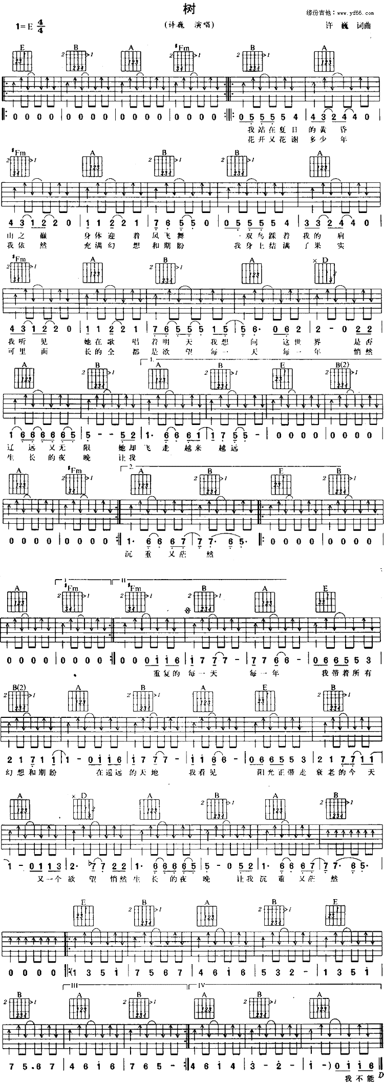 树吉他谱,简单C调原版指弹曲谱,许巍高清流行弹唱六线乐谱