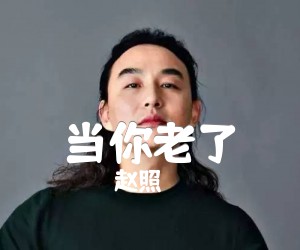 当你老了吉他谱,原版歌曲,简单D调弹唱教学,六线谱指弹简谱6张图