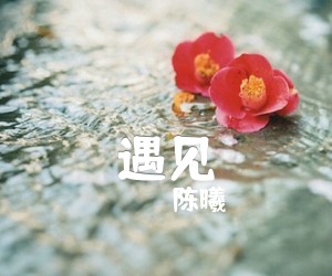 遇见吉他谱,原版歌曲,简单C调弹唱教学,六线谱指弹简谱2张图