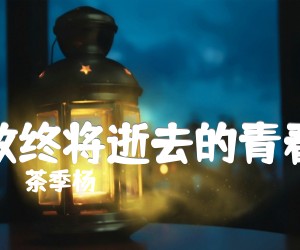 致终将逝去的青春吉他谱,原版歌曲,简单G调弹唱教学,六线谱指弹简谱3张图