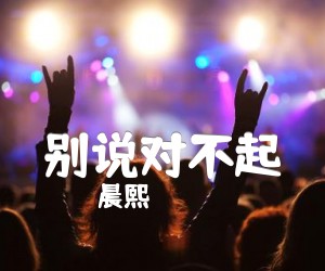 别说对不起吉他谱,原版歌曲,简单SHE弹唱教学,六线谱指弹简谱完整_D调_吉他图片谱3张图