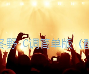 斑马斑马宋冬野C调简单版（酷音小伟吉他）吉他谱,原版歌曲,简单C调弹唱教学,六线谱指弹简谱1张图