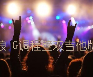 恋恋风尘老狼G调程壁双吉他版（简单吉他）吉他谱,原版歌曲,简单G调弹唱教学,六线谱指弹简谱1张图