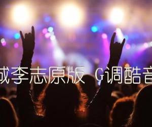 天空之城李志原版G调酷音乐器版吉他谱,原版歌曲,简单G调弹唱教学,六线谱指弹简谱1张图