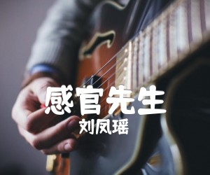 感官先生吉他谱,原版歌曲,简单F调弹唱教学,六线谱指弹简谱2张图