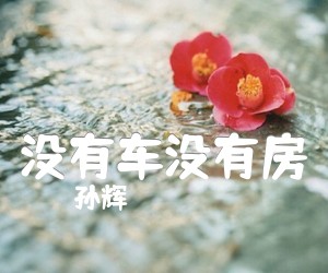 没有车没有房吉他谱,原版歌曲,简单D调弹唱教学,六线谱指弹简谱2张图