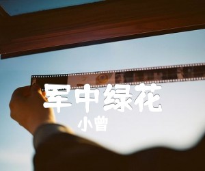 军中绿花吉他谱,原版歌曲,简单G调弹唱教学,六线谱指弹简谱1张图